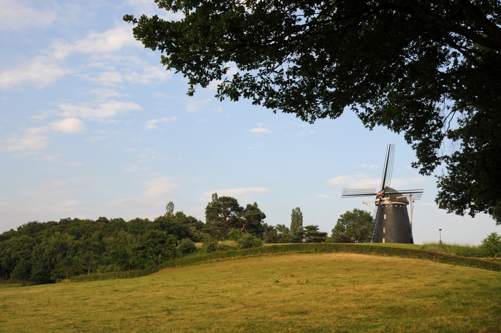 Molen Op de Vrouweheide, Ubachsberg - Hay Heuts