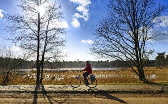 Route Eindhoven – Hip design, wilde heide