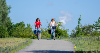 Vier het voorjaar op Voorne-Putten: 10 gratis fietsroutes