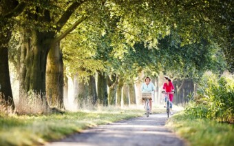 Editie 2/editie 3-2020 inclusief gratis streekgids Leuven & Hageland – een dubbeldik nummer!