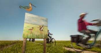 Vogelroute fietsen: het broedseizoen is begonnen!