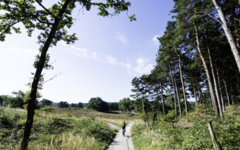 Route Heerlen – Van donkere mijn naar groene oase