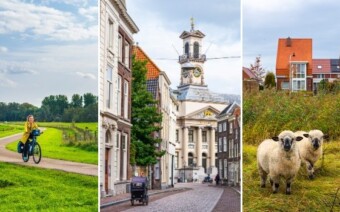 Editie 6 inclusief Streekgids Het Groene Woud