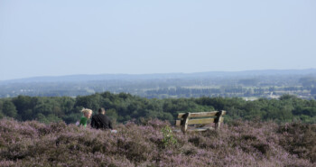 Fietsdagje Veluwezoom & picknick op Landgoed Rhederoord