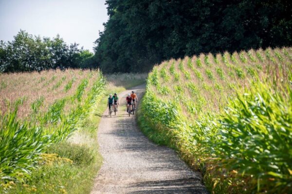 Ga Eens Gravelbiken In Vlaams-Brabant, Dé Gravelprovincie - FietsActief.nl