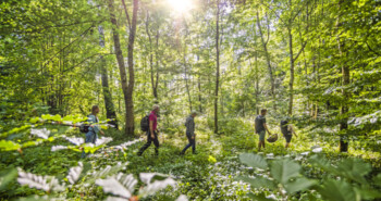 Fietsvakantie vanuit groene adresjes in Zuid-Zweden